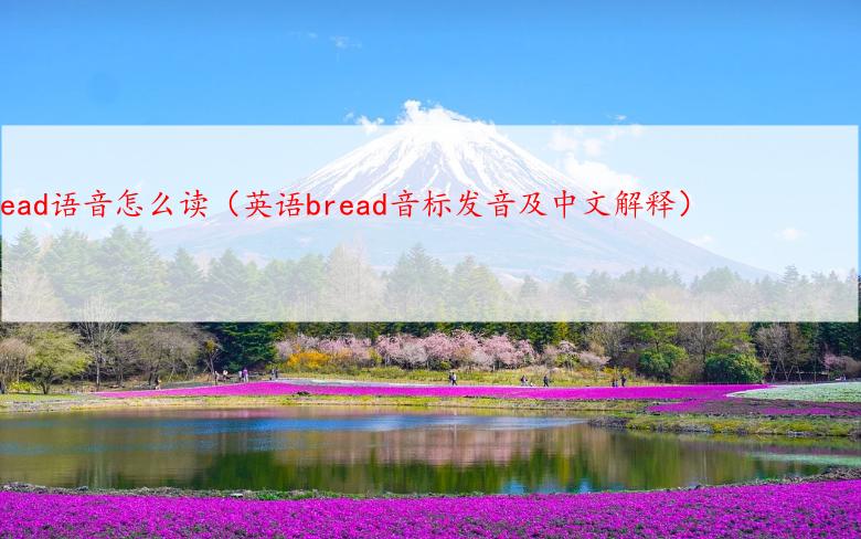 bread语音怎么读（英语bread音标发音及中文解释）