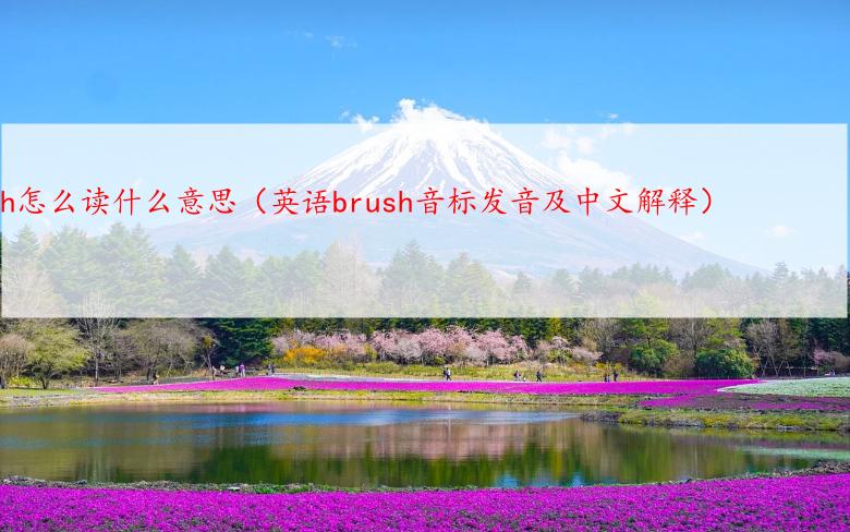 brush怎么读什么意思（英语brush音标发音及中文解释）