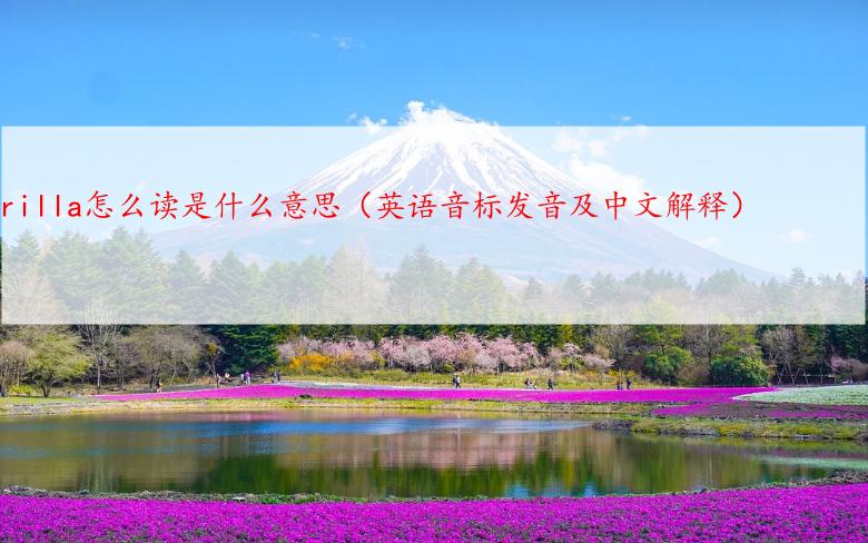 gorilla怎么读是什么意思（英语音标发音及中文解释）