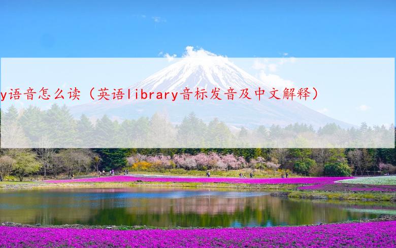 library语音怎么读（英语library音标发音及中文解释）