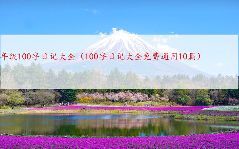 一年级100字日记大全（100字日记大全免费通用10篇）