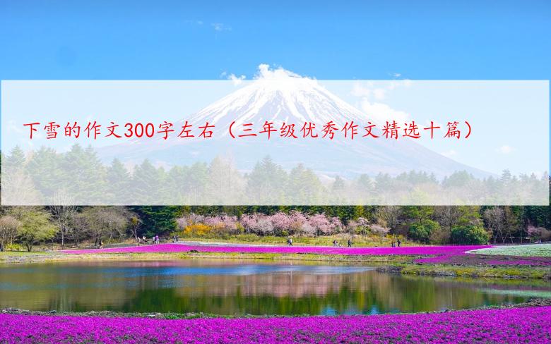 下雪的作文300字左右（三年级优秀作文精选十篇）
