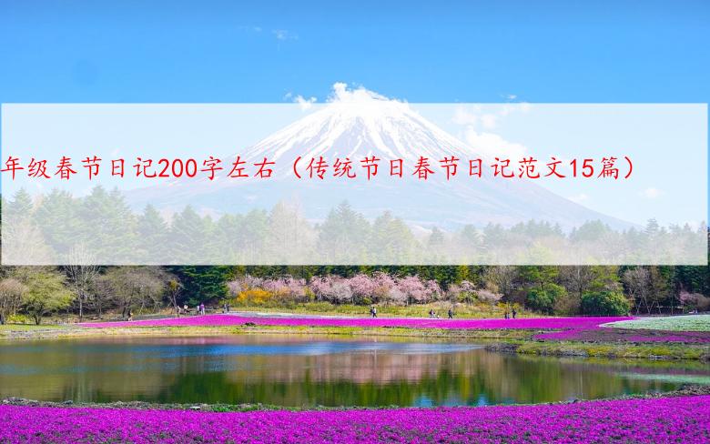 二年级春节日记200字左右（传统节日春节日记范文15篇）