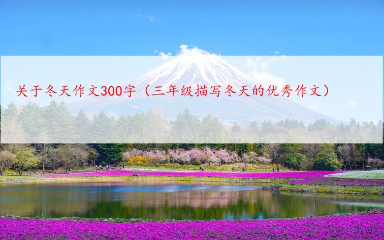 关于冬天作文300字（三年级描写冬天的优秀作文）