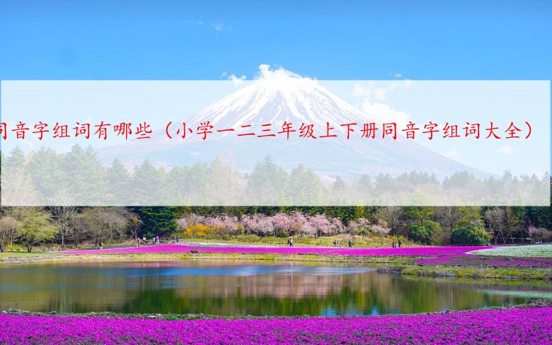 同音字组词有哪些（小学一二三年级上下册同音字组词大全）