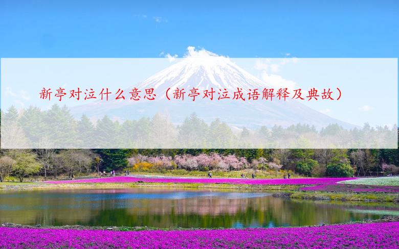 新亭对泣什么意思（新亭对泣成语解释及典故）
