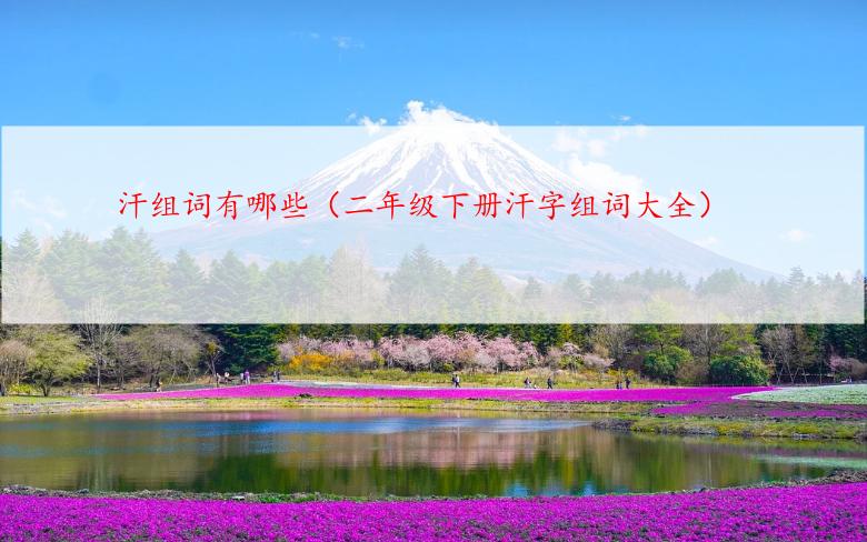 汗组词有哪些（二年级下册汗字组词大全）