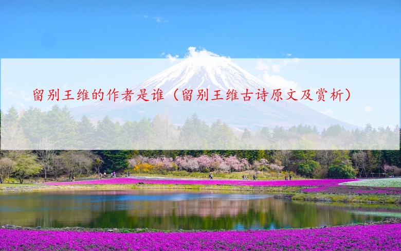 留别王维的作者是谁（留别王维古诗原文及赏析）