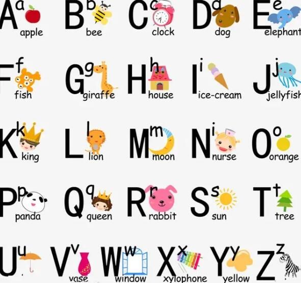 24个英文字母正确读法(英文24个字母大小写正确发音)