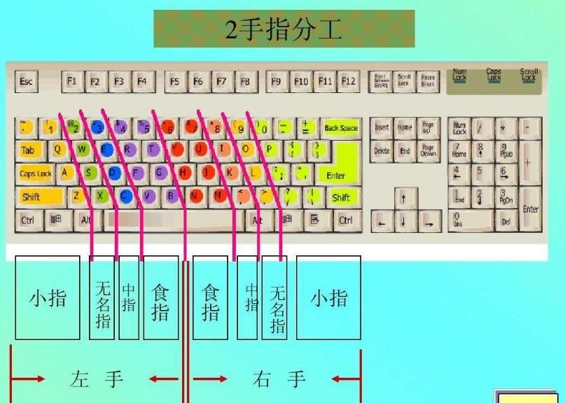 电脑学打字拼音从什么学起(零基础学拼音打字教学入门教程)