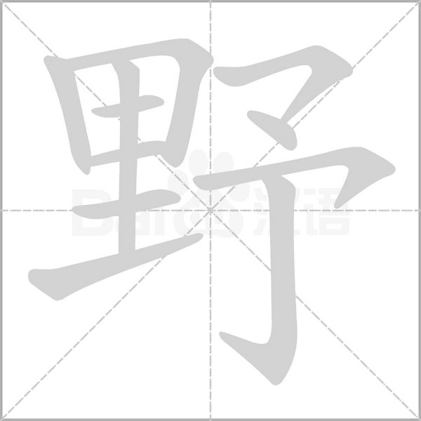 野的笔顺正确写法演示