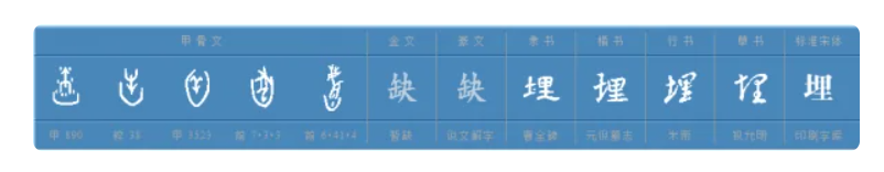 埋多音字组词有哪些（一四六年级下册埋多音字拼音和什么组词大全）