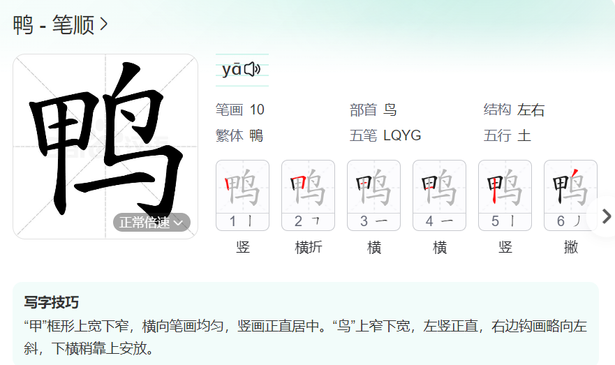鸭的笔顺名称怎么读（鸭的笔顺田字格正确写法图片）