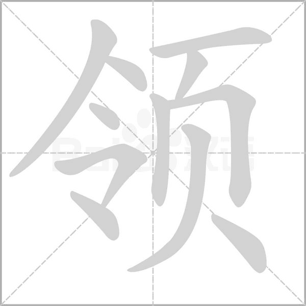 领的笔顺正确写法演示