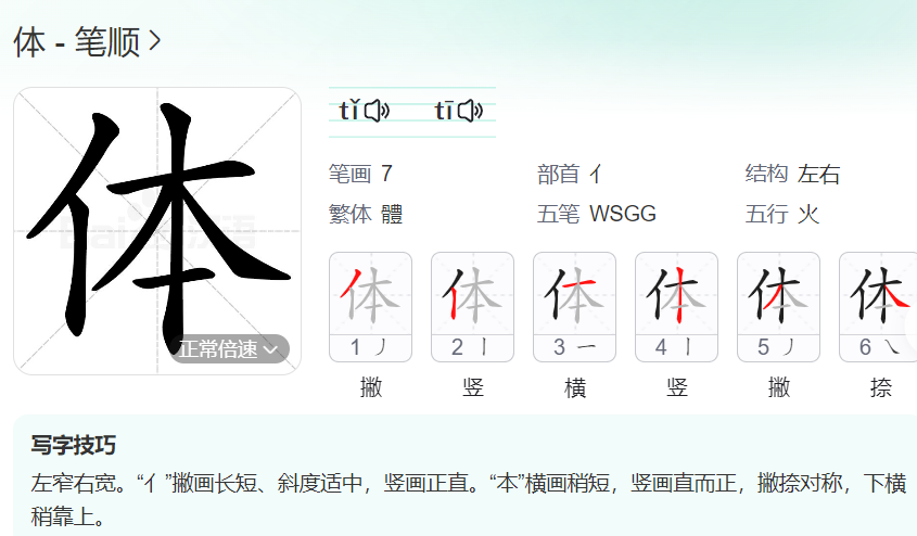 体的笔顺名称怎么读（体的笔顺田字格正确写法图片）